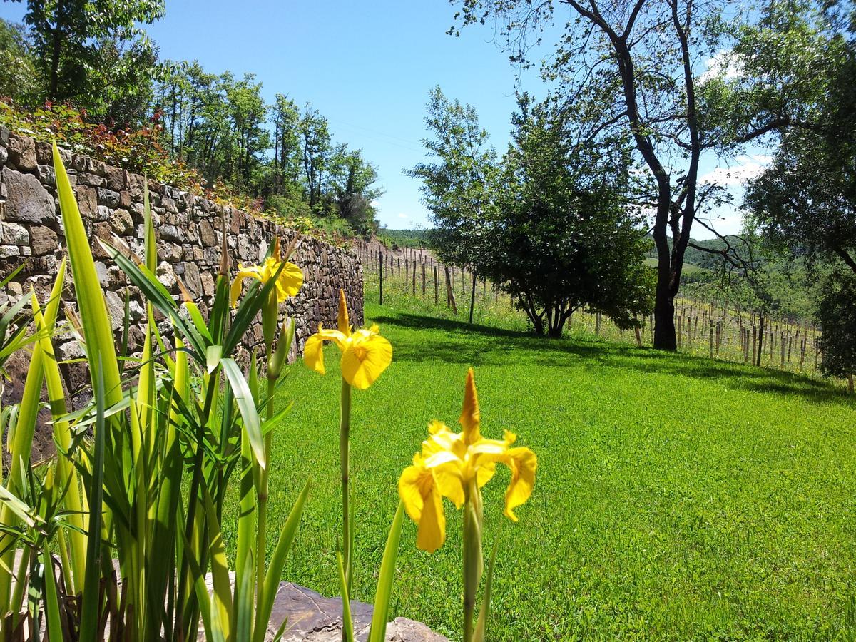 Bed and Breakfast Fattoria Poggerino Рада ин Шанти Экстерьер фото