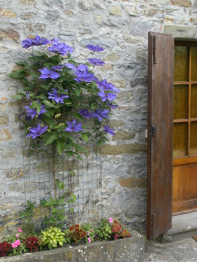Bed and Breakfast Fattoria Poggerino Рада ин Шанти Экстерьер фото